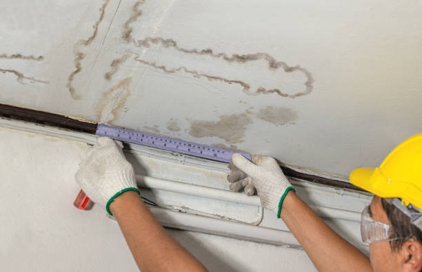 Reliable Structural Drying contractor in Santo, TX by Water Damage Irwin